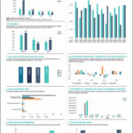 Indicadores_periodico-01-763×1024