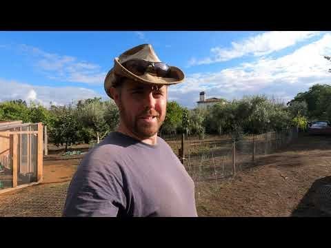 Chicken road españa - Descubra El Encanto de la Vía del Pollo en España en 2024